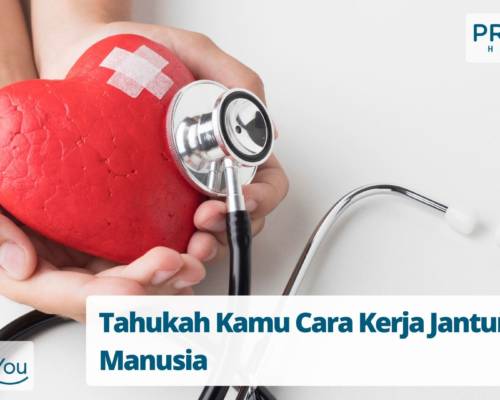 Tahukah Kamu Cara Kerja Jantung Manusia