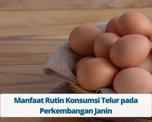 Manfaat Rutin Konsumsi Telur pada Perkembangan Janin
