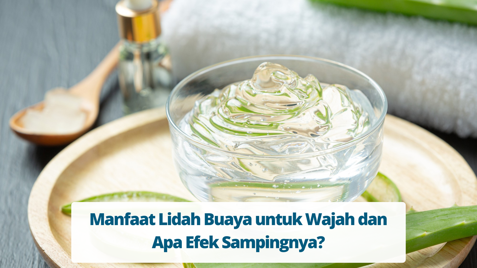 Manfaat Lidah Buaya Untuk Wajah - Primaya Hospital