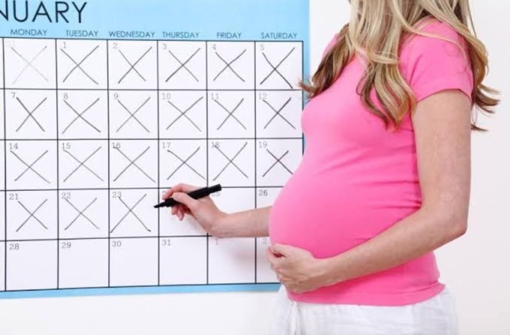 Kalender Kehamilan Untuk Mengetahui Usia Kehamilan Primaya Hospital