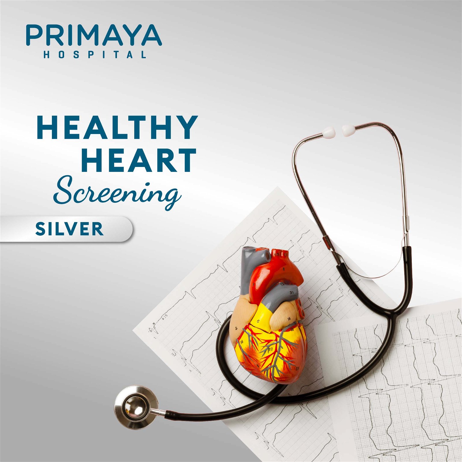 Paket MCU Jantung: Healthy Heart Screening - Silver