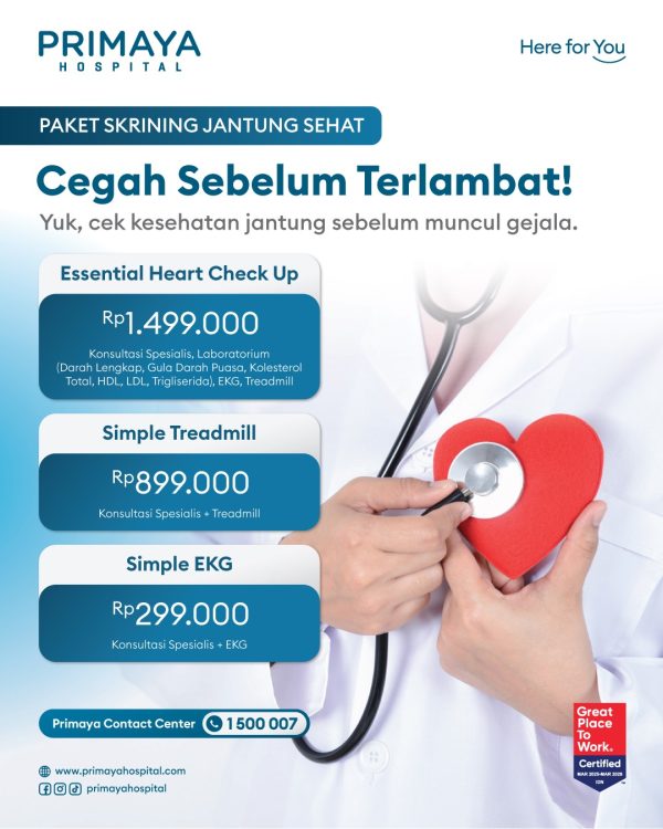 Paket Hari Jantung Sedunia